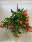 春色仿真水果清明用装饰绿植家居摆设艺术花卉 仿真植物餐桌摆台吊顶 装饰水果店 可作盆栽