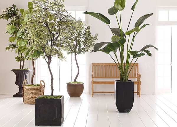 TREE_BROCHURE_098_flip.jpg!710