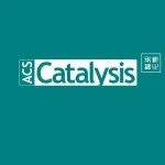 上海大学黄垒研究员/大连理工大学王翔教授最新ACS Catalysis：\u00A0Pt/TiO\u2082光热催化氧化升级回收聚乙烯制备二元酸