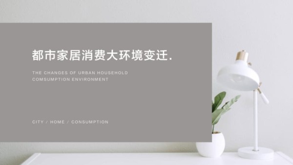 2019年都市家居消费趋势洞察.pdf_第4页