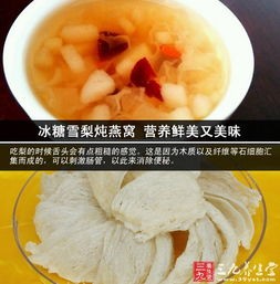 雪梨燕窝炖盅制作教程：食材挑选、炖煮步骤与营养功效全解析