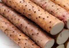 生淮山怎么煮好吃_生淮山怎么挑选