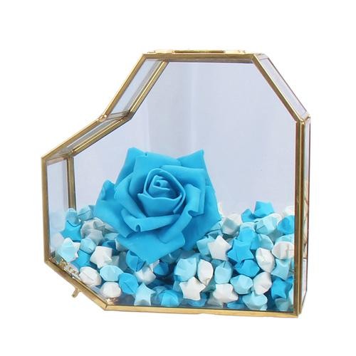 许愿星玻璃瓶子创意diy手工幸运星星漂流折纸条小520颗千纸鹤礼物