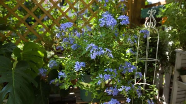 赏读丨生命最大的满足，是心灵的富足