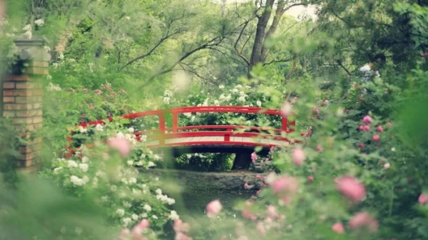 赏读丨生命最大的满足，是心灵的富足