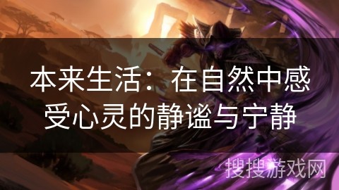 本来生活：在自然中感受心灵的静谧与宁静