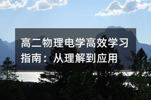 高二物理电学高效学习指南：从理解到应用