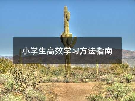 小学生高效学习方法指南