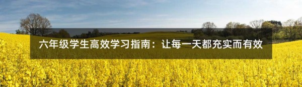 六年级学生高效学习指南：让每一天都充实而有效