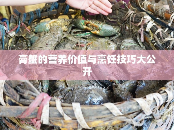 膏蟹的营养价值与烹饪技巧大公开