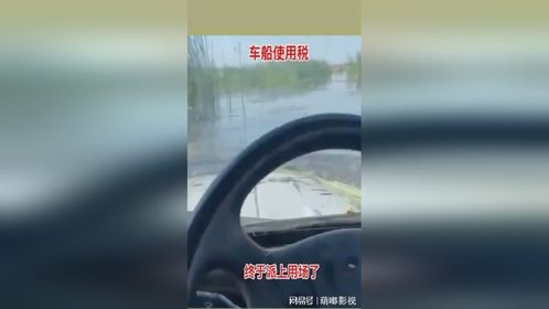 车船使用税，终于派上用场了