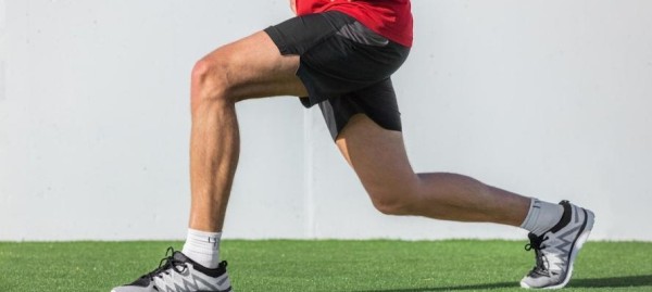 新手如何科学健身增肌（健身新手如何通过科学方法增加肌肉质量）