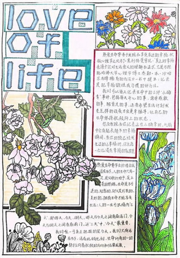 热爱生命阳光成长手抄报一等奖