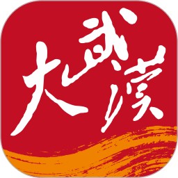 大武汉2026官方新版图标