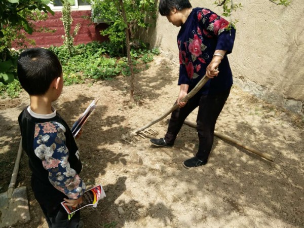 农家小院种菜，令人羡慕的田园生活