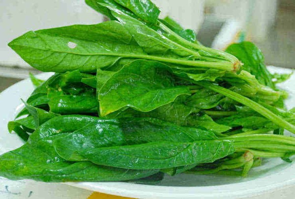 这6种公认最健康的食品，不妨家里多备一些，健身防病！