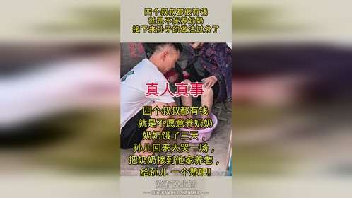 四个叔叔都很有钱，就是不抚养奶奶，接下来孙子的做法过分了