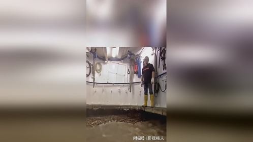 河底可全都是宝贝啊