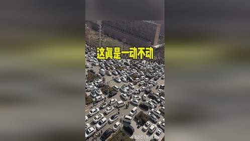 这还真是一动不动呀