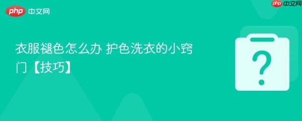 衣服褪色怎么办 护色洗衣的小窍门【技巧】