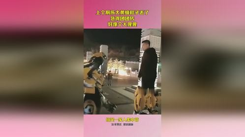 上个厕所大黄蜂鞋子丢了，急得团团转，好像个大猩猩