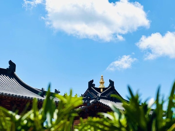 明清寺庙功能分区流线设计，礼佛动线、僧侣生活区高效组织策略