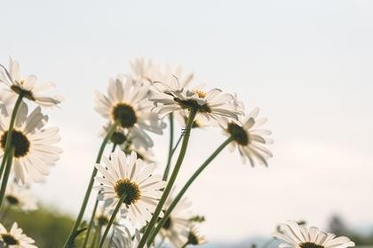 2025年财运最好的属相男士自我提升策略 财运提升与自我成长相辅相成