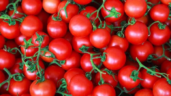 西红柿怎么剥皮方便