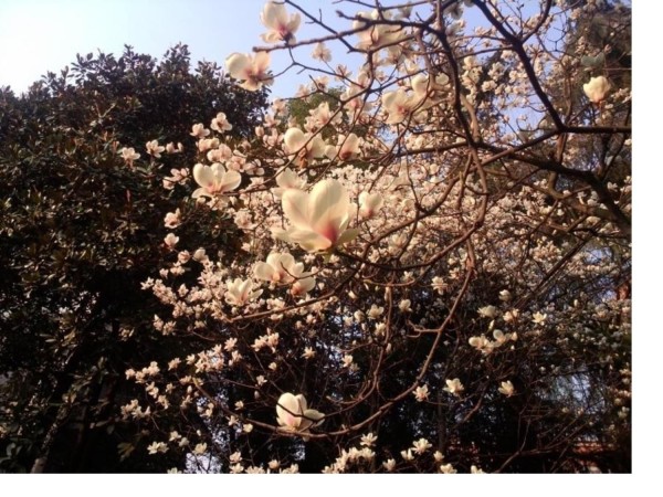 生活美学专业知识讲座_第2页