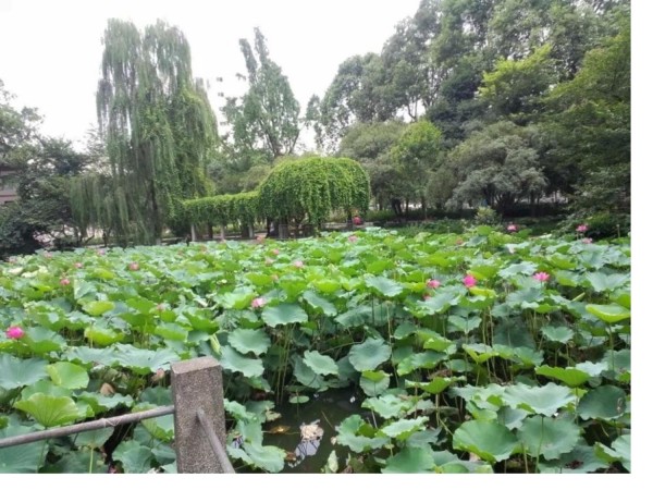 生活美学专业知识讲座_第3页