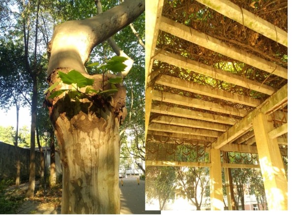 生活美学专业知识讲座_第5页