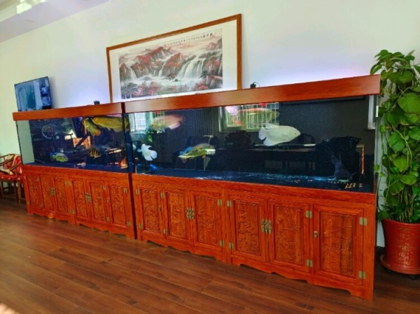 1725937079574222.jpg@750w_750h_90Q