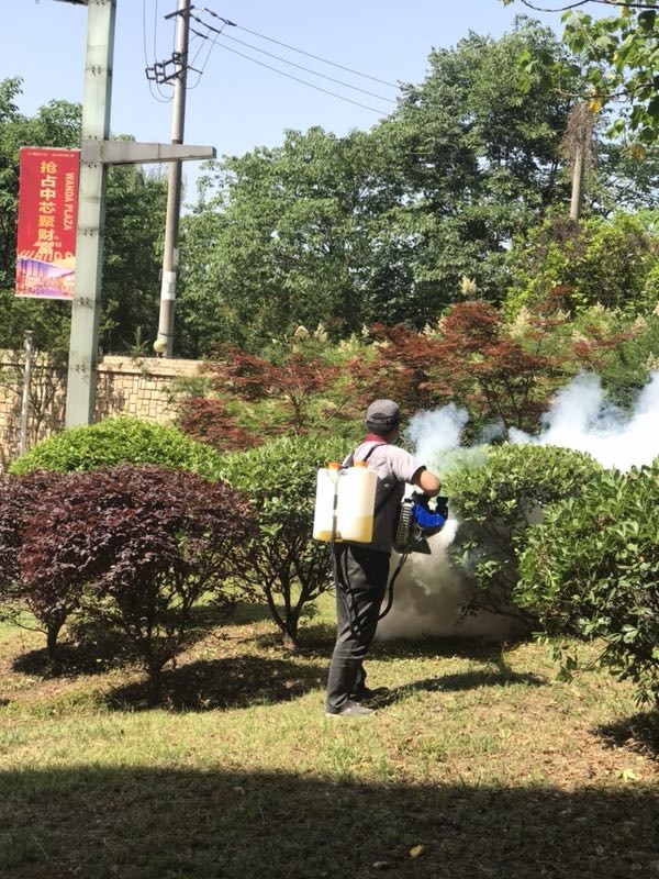 大邑办公室除虫方案
