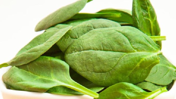 推荐五种适合老年人养生的食物