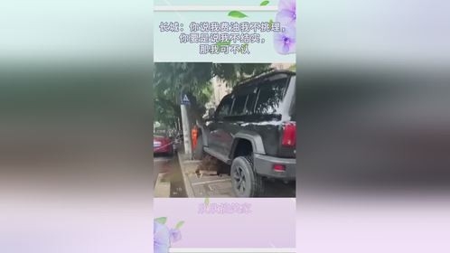 长城：你说我费油我不挑理，你要是说我不结实，那我可不认