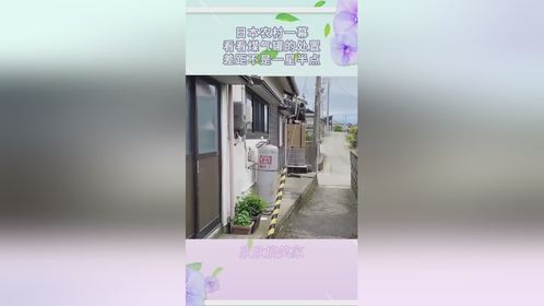 日本农村一幕，看看煤气罐的处置，差距不是一星半点