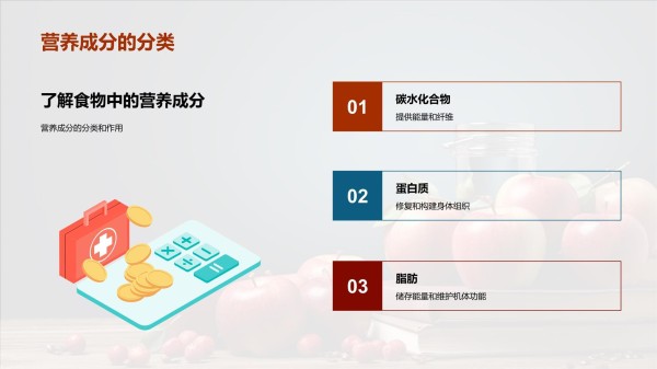 营养均衡饮食指南_第4页