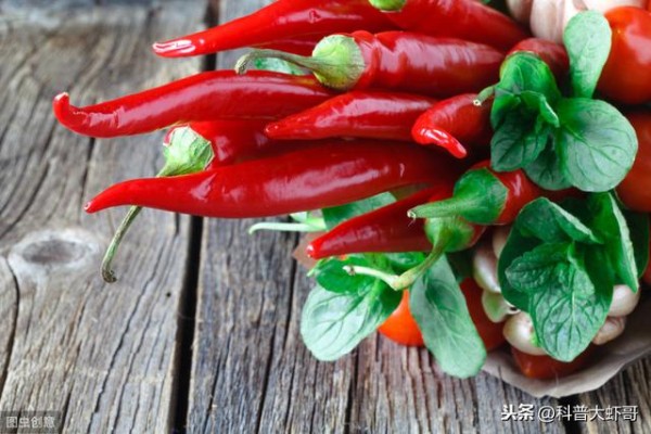 超实用生活小窍门100个（经典实用生活小窍门大全收集）(2)