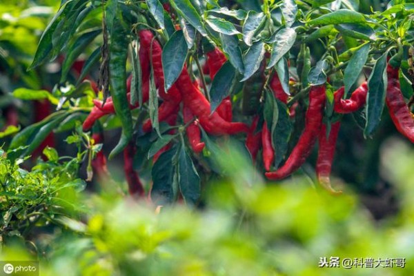 超实用生活小窍门100个（经典实用生活小窍门大全收集）(4)