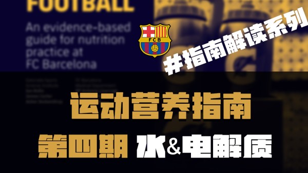 Thumbplayer Poster Plugin Image