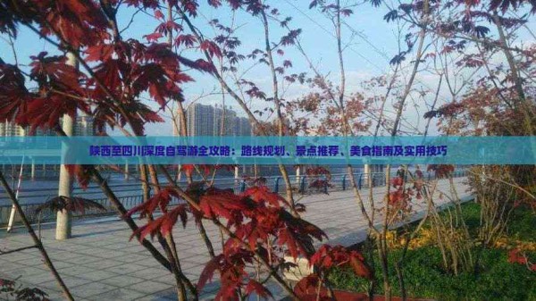 陕西至四川深度自驾游全攻略：路线规划、景点推荐、美食指南及实用技巧