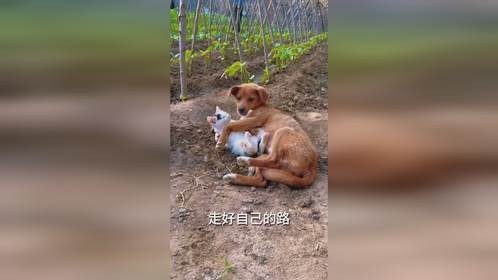 中年最好的生活方式