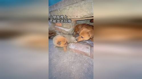 晚上不能出去玩哦