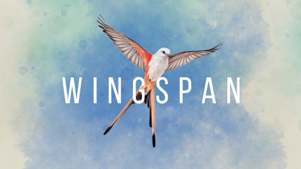 季節性裝飾包2｜WINGSPAN (展翅翱翔)｜任天堂