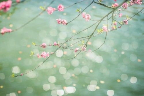 今日立春！这4项最适合春天的运动，千万别错过