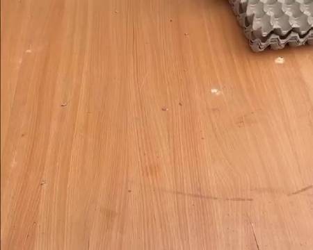 利用二手物品进行酷炫创意