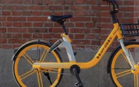 共享单车有哪些品牌-有驾