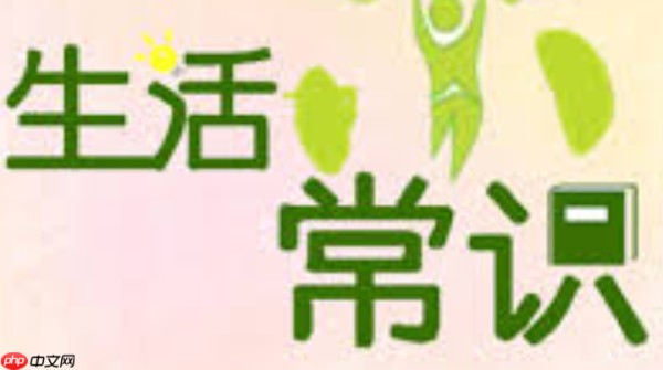 怎么让拖把更干净_生活小妙招分享清洁和保养小技巧