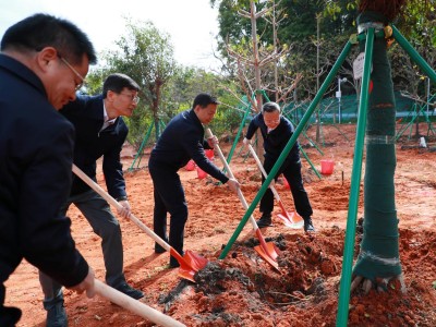 同心共建绿美广州，穗各民主党派联合植树