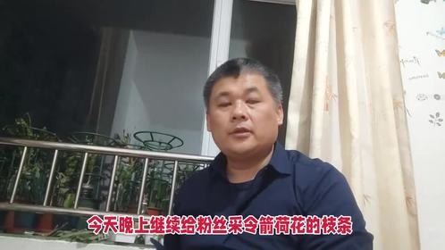 令箭荷花枝条分享给山东花友